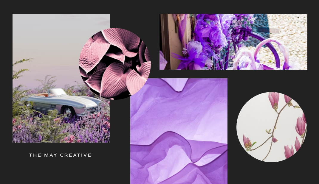 The Color Psychology of Purple
